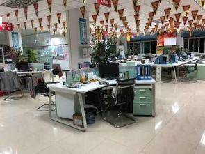 爆料叮当办公室视频播放,揭秘日常办公瞬间  第1张